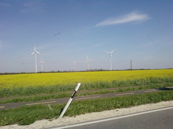 Fotografija-0484.jpg