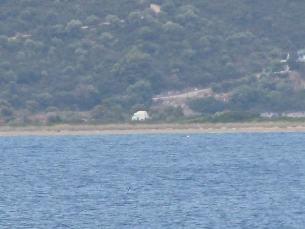 IMG_3657majhna.JPG