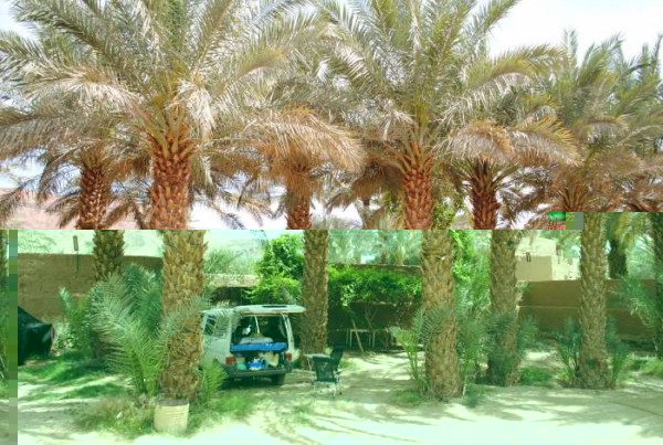 _010_383DSC_0361 Zagora.JPG