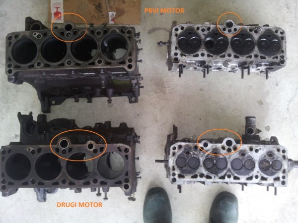 VW TD (1) (Medium).jpg